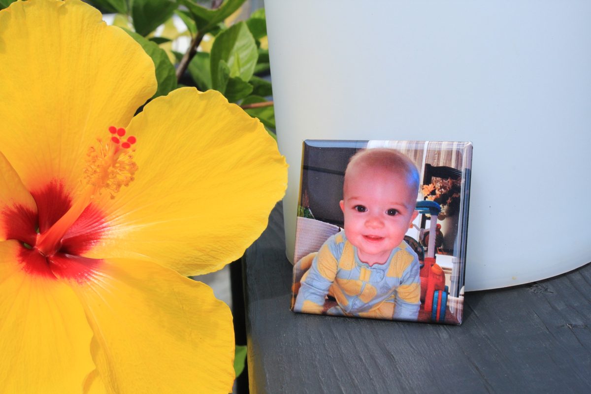 Baby photo magnet on a fridge